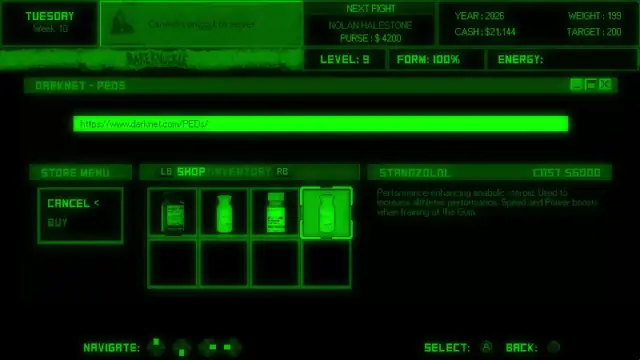 Bruisers 2D Boxing Training Guide: Stats, Minigames, and Diets